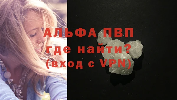 крисы Абаза