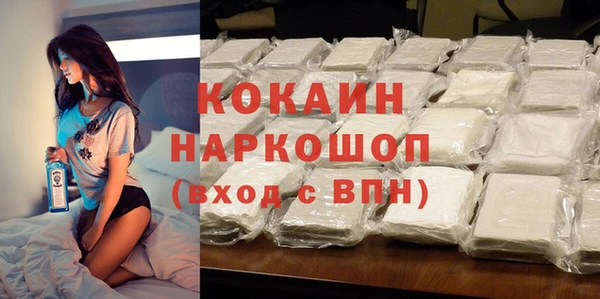 крисы Абаза